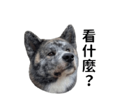 844308849