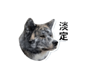 844308850