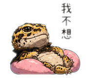 844309213