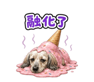 844312662