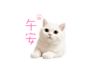 844313178