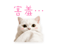 844313187