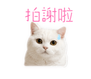 844313191