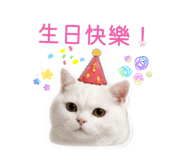 844313194