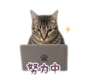 844313258