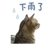 844313264