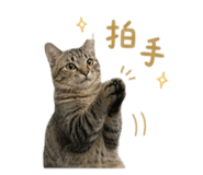 844313265