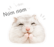 844313494