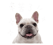 844314140