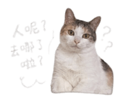 844314500