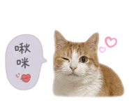 844315599