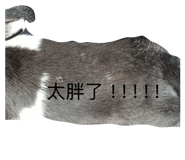 844316168