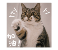 844316353