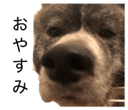 844317765