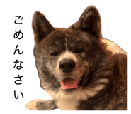 844317774