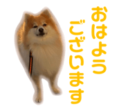844318721