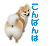 844318723