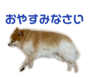 844318724