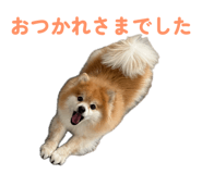 844318734