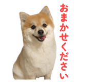 844318737