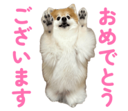 844318739