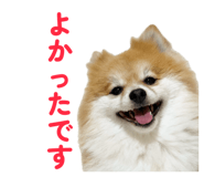 844318742
