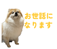 844318746