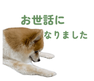 844318747