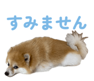 844318750