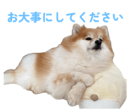 844318756