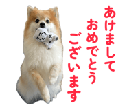 844318757