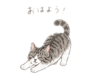844319434