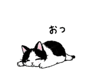 844321811