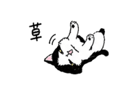 844321822