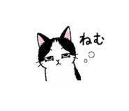 844321825