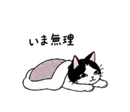 844321837