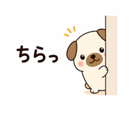 844323446