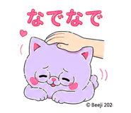 844323462