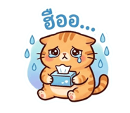844325362