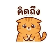 844325373