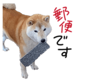 844326364