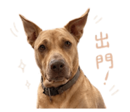 844326410