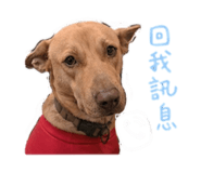 844326434