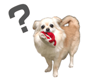 844326599