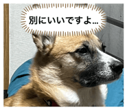 844326605