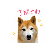 844326633