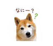 844326638