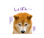 844326639