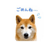 844326640