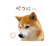 844326641